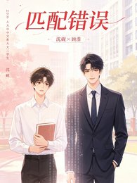 《匹配错误》
