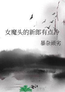 《女魔头的新郎有点冷》