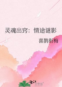 《灵魂出窍:情途谜影》